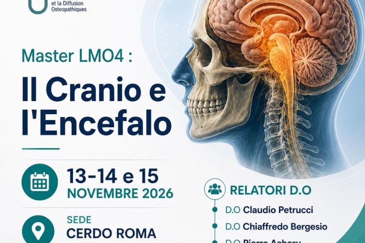 master LMO4