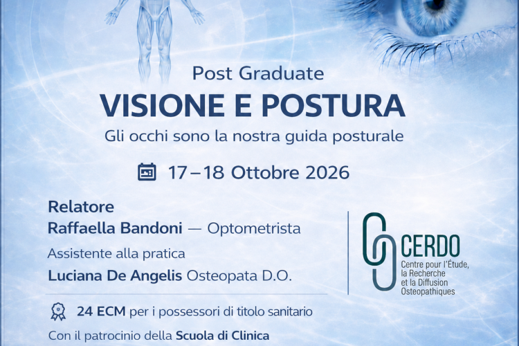  Visione e Postura